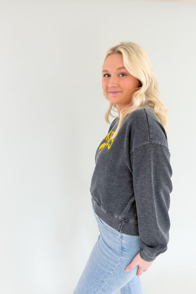 The Iowa Hawkeyes Campus Crop Pullover combines a classic Hawkeyes logo with ultra soft inner lining for unbeatable comfort. Show off your school spirit in ultimate style and comfort!